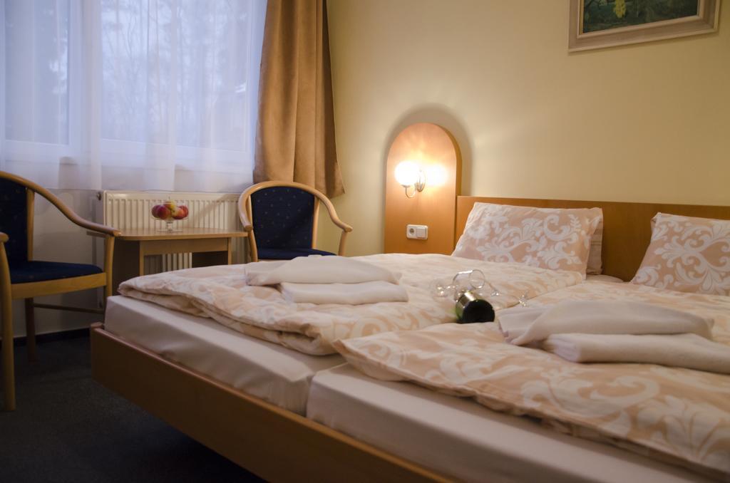Hotel Zatisi Frantiskovy Lazne Bilik gambar